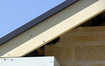 Stane fascia repairs