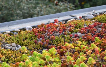 the cost of Stane green roof installation
