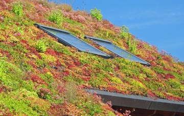 Stane living roof systems