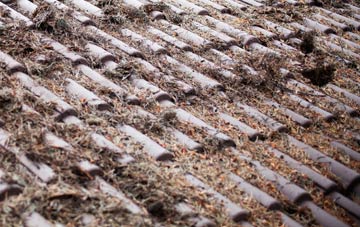 Stane roof cleaning companies