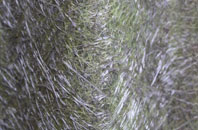 Stane fibreglass roof work